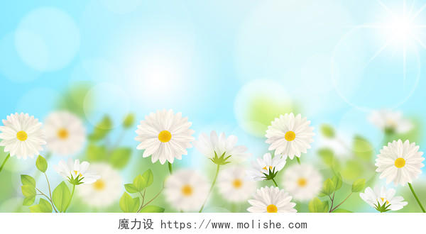 蓝色小清新春季春天花卉展板背景